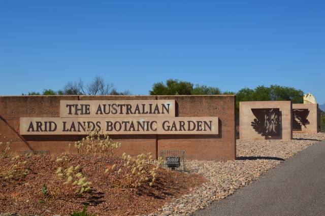 Botanic Gardens Day celebration at the Australian Arid Lands
