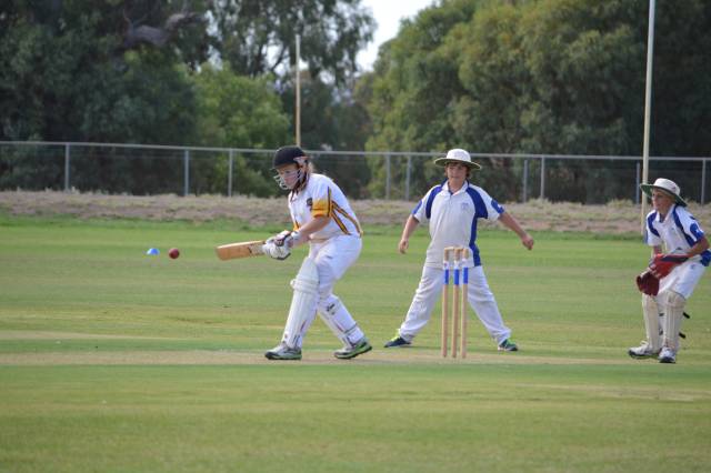 Junior cricket finals | GALLERY
