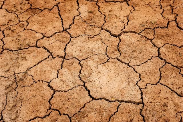 Labor calls for more drought support