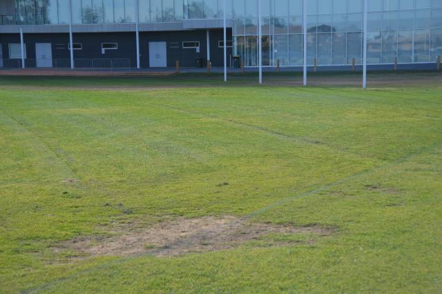 Council backs Central Oval turf upgrade