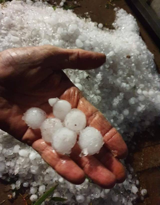 Millions of dollars’ damage caused by freak storm and golf ball sized hailstones
