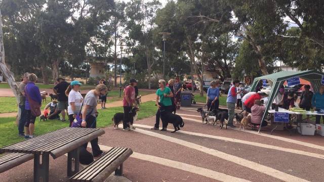 Scores of paws walk to raise huge funds