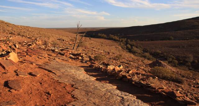 Conservation heavyweights lock in protection for outback fossil site in Far North