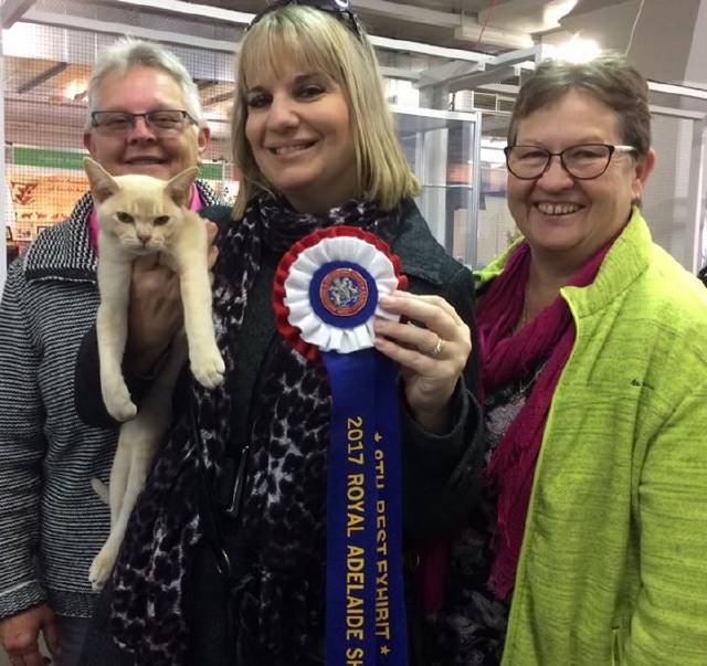 Zorro’s purrfect day at the Show