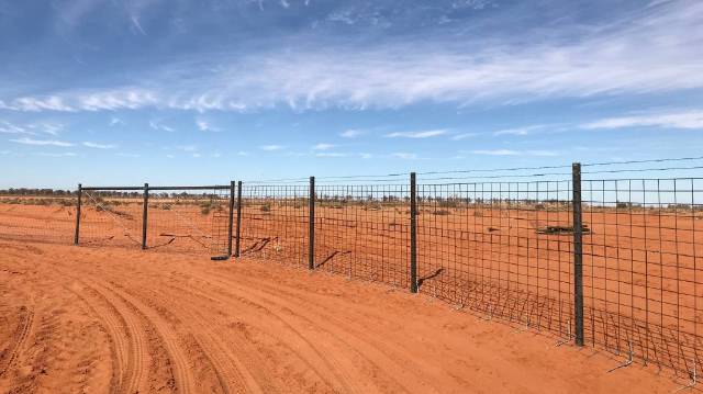 South Australian companies on board with Dog Fence rebuild