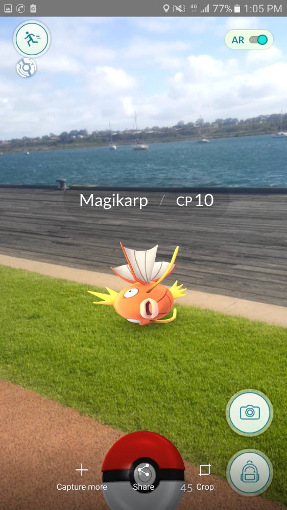 Wild pokemon spotted in Port Augusta | GALLERY