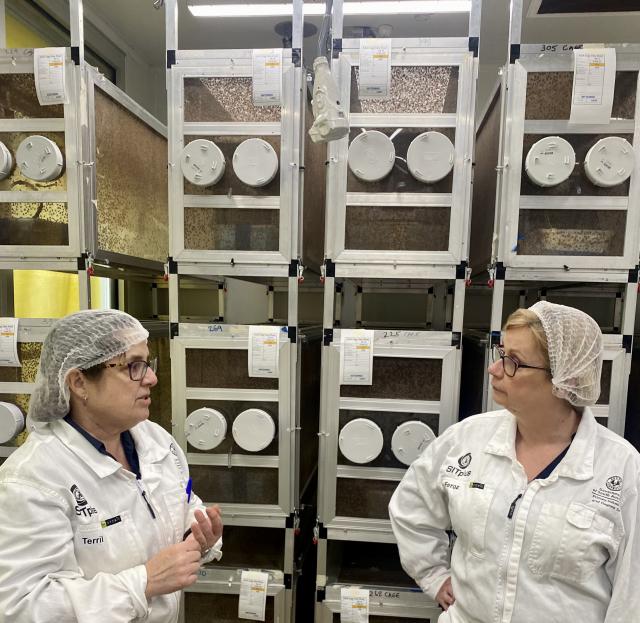 Port Augusta’s Fruit Fly Facility to double in size