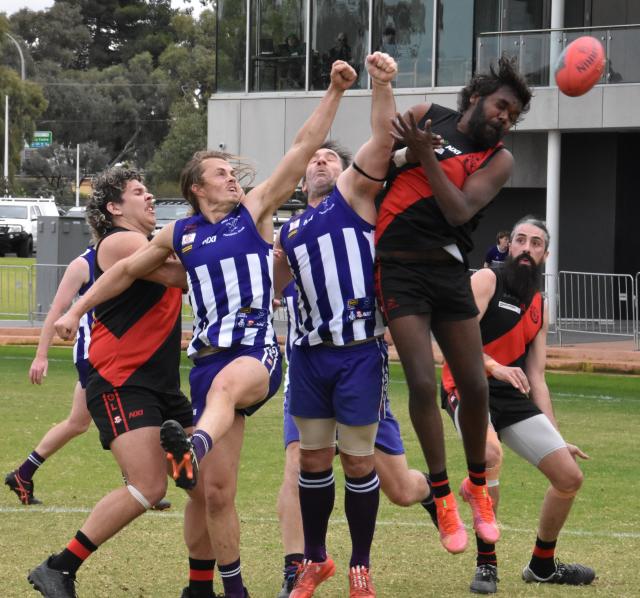 Sollies and Lions battle it out for top spot on the ladder