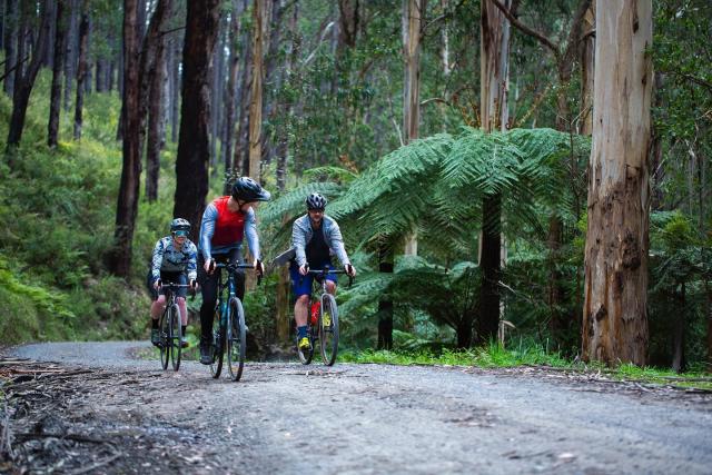 Epic new mountain bike trail announced for Mount Remarkable