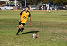 Lions comeback for a win