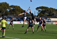 Spencer Gulf flies high