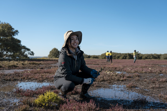 Landcare grants now open