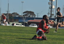 Lions roaring into finals