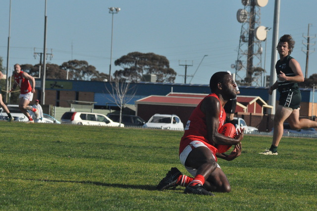 Lions roaring into finals