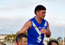 Cats, Lions lead the pack