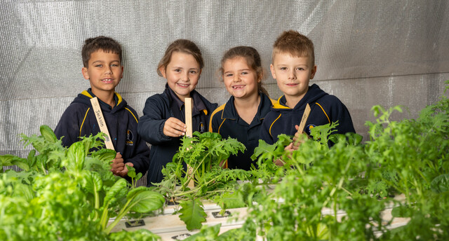 Students show green thumbs