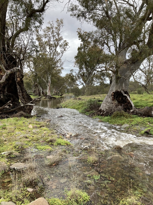 Water release set to revive