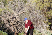 Classic time, classic comp