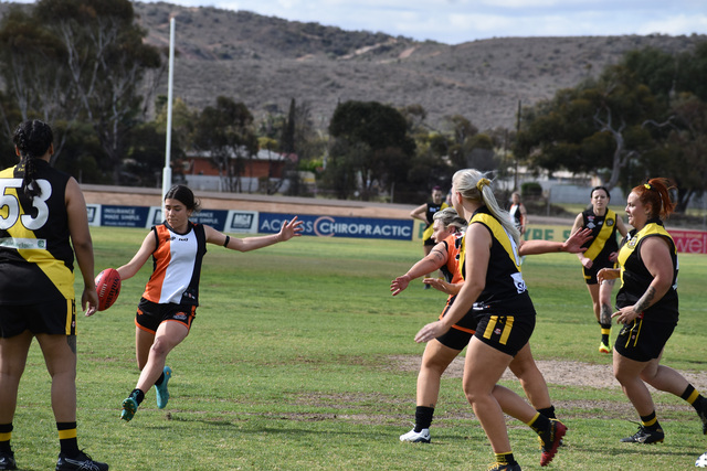 Dingoes, Magpies go large