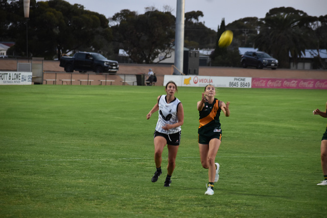 Dingoes win against Tigers