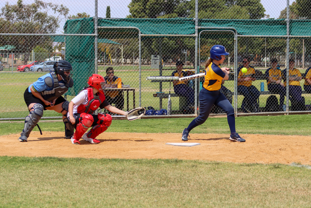 Season opener for softball