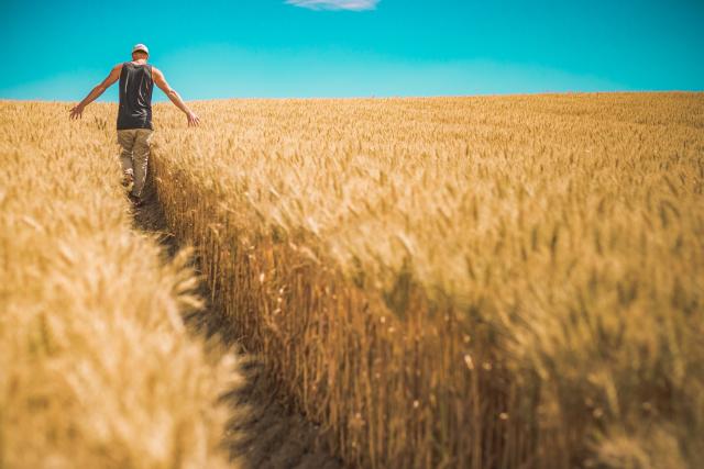 Finalists announced for inaugural SA Grain Industry Awards