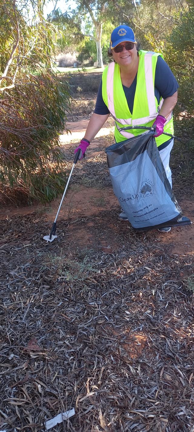 Lions work hard to clean up city entrance