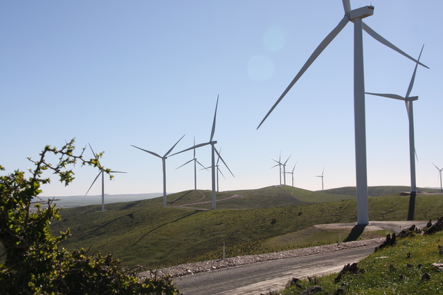 Wind farm grant program opens to community groups