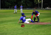 Cats are winners, losers