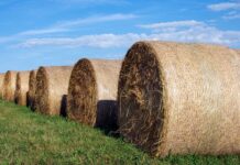 Hay access, fees waived