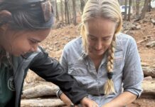 Further developments with Idnya population growth