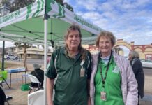 Keeping watch on town