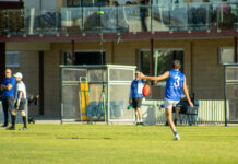 Cats, Dogs too strong