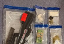 Drugs, firearms located in Risdon Park