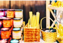 Discover what’s on in the Spencer Gulf