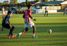 Demons vital slip-up at home