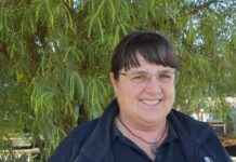 Terril busy buzzing along