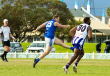 South beat Lions in upset