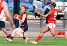 Bulldogs show the way home