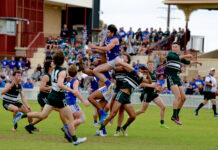 Finals win the Cats’ meow