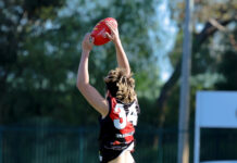 Cats finish minor premiers