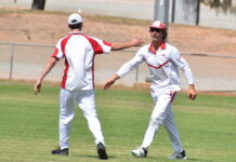 Cricket season shake-up