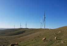 Funds fuels wind, solar projects