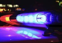 Pedestrian dies after being hit by car