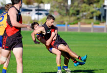 Cats into grand final