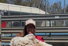 2025 Quorn Agricultural Show draws large attendance