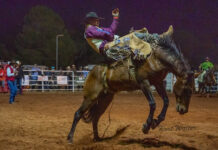 Rodeo boosted by grant