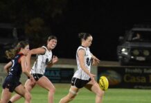 Norths early favourites