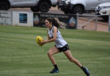 Bays no match for Norths