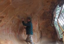 Arkaroo cultural revival